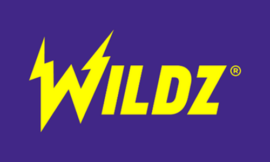 Introduction to Wildz Casino